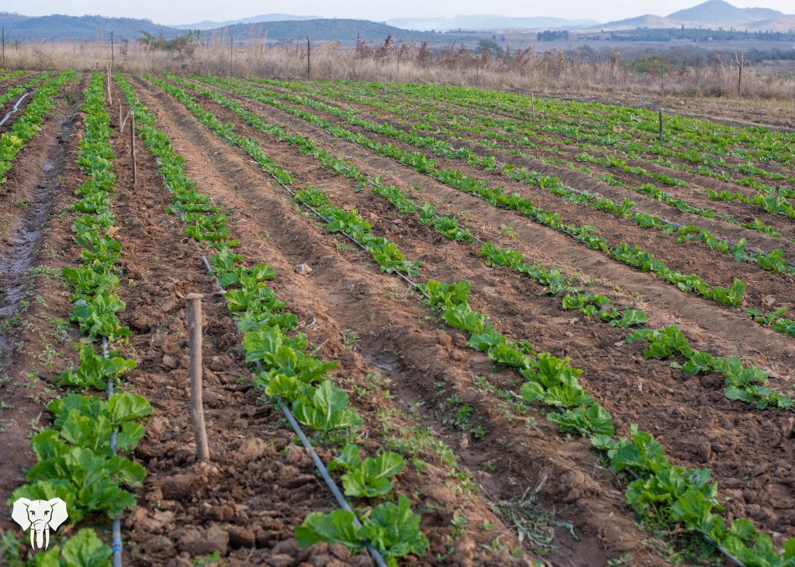 Prevail Boreholes 10