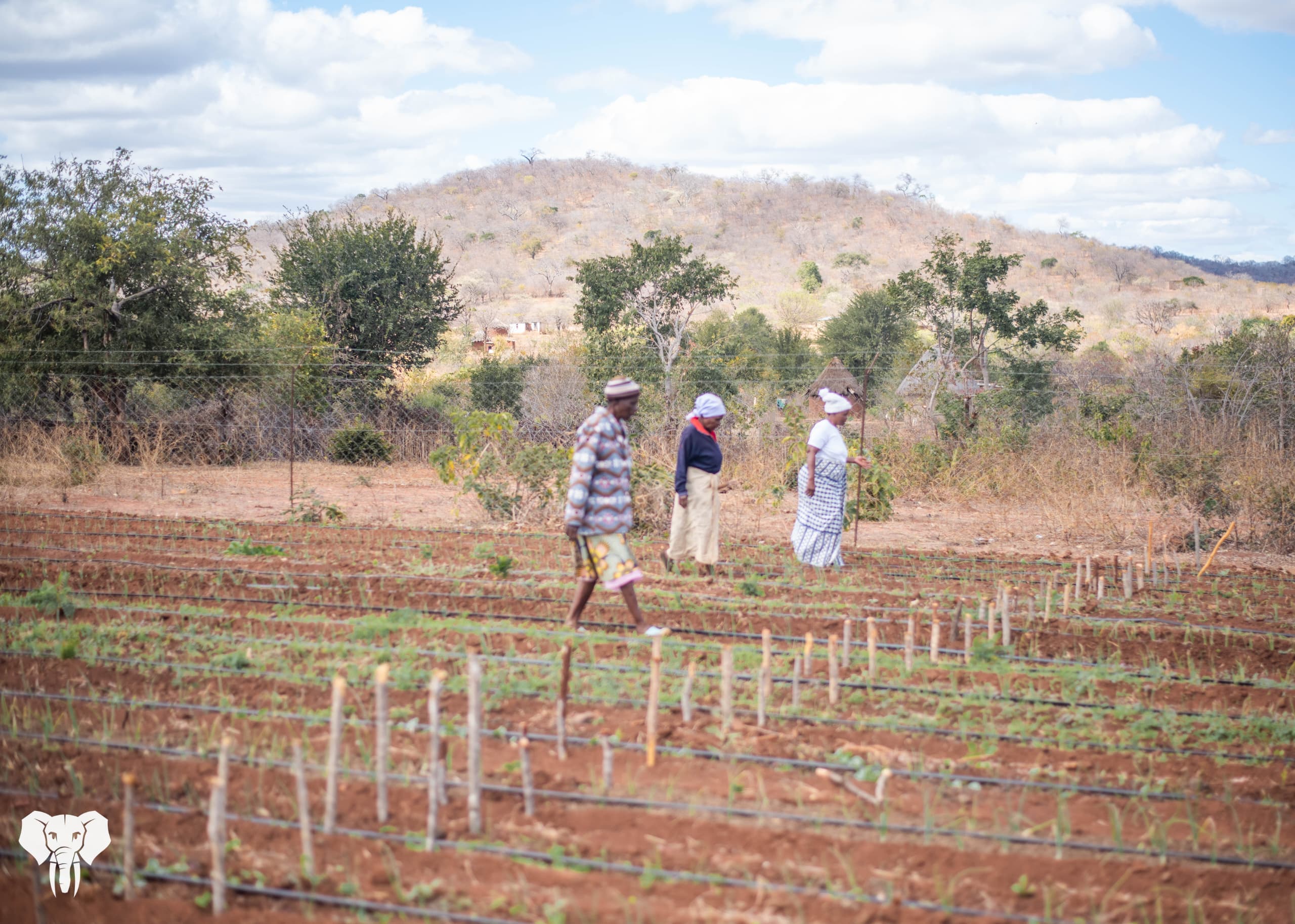 Prevail Boreholes 12