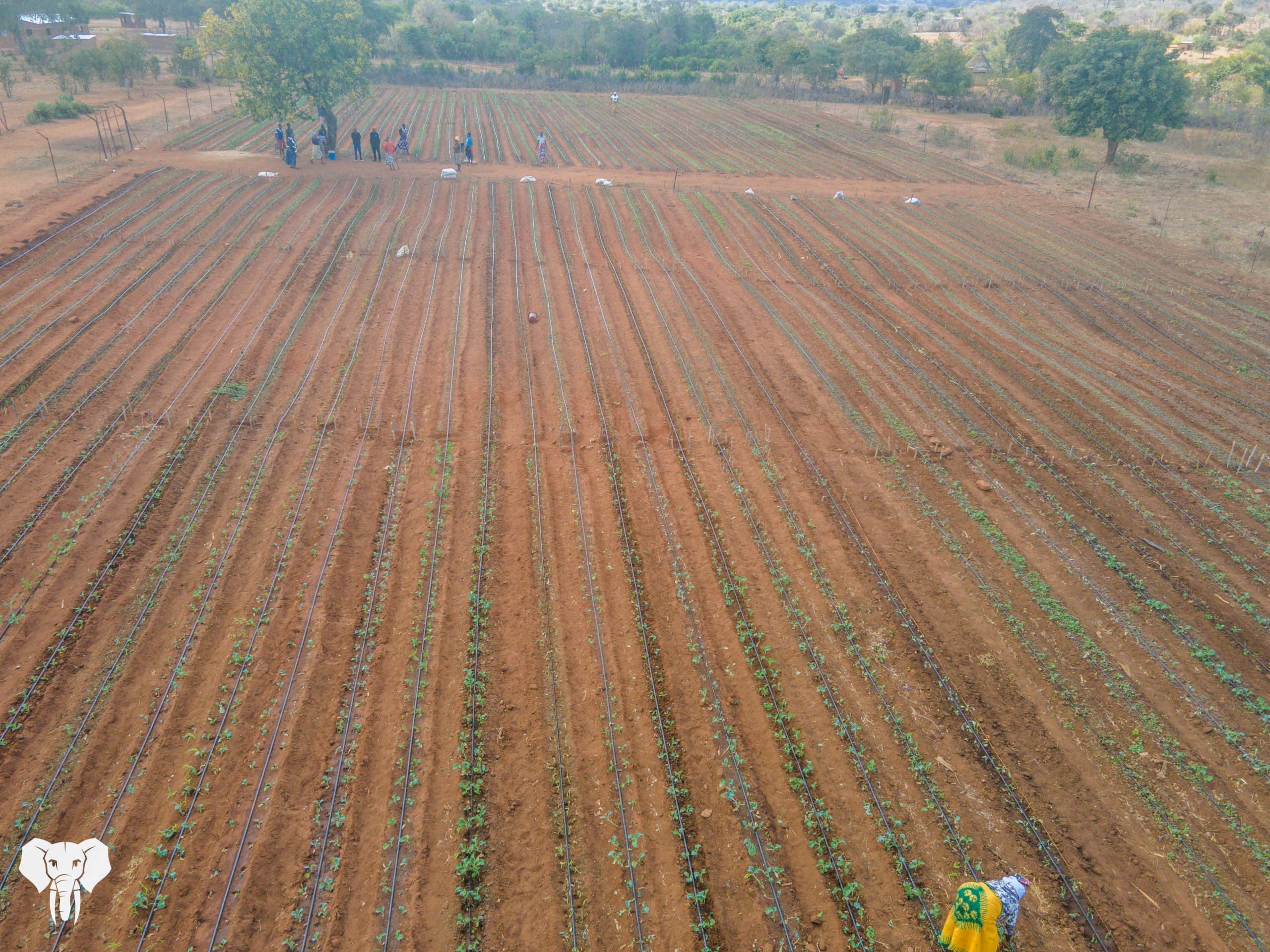 Prevail Boreholes 13