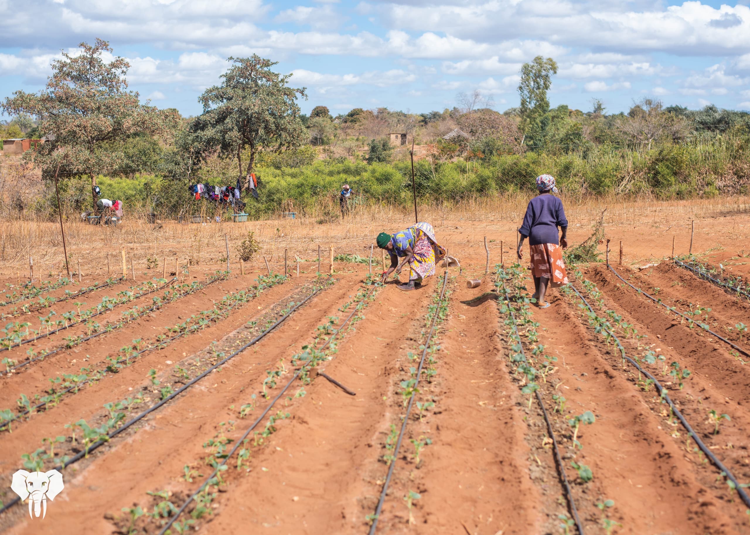 Prevail Boreholes 14