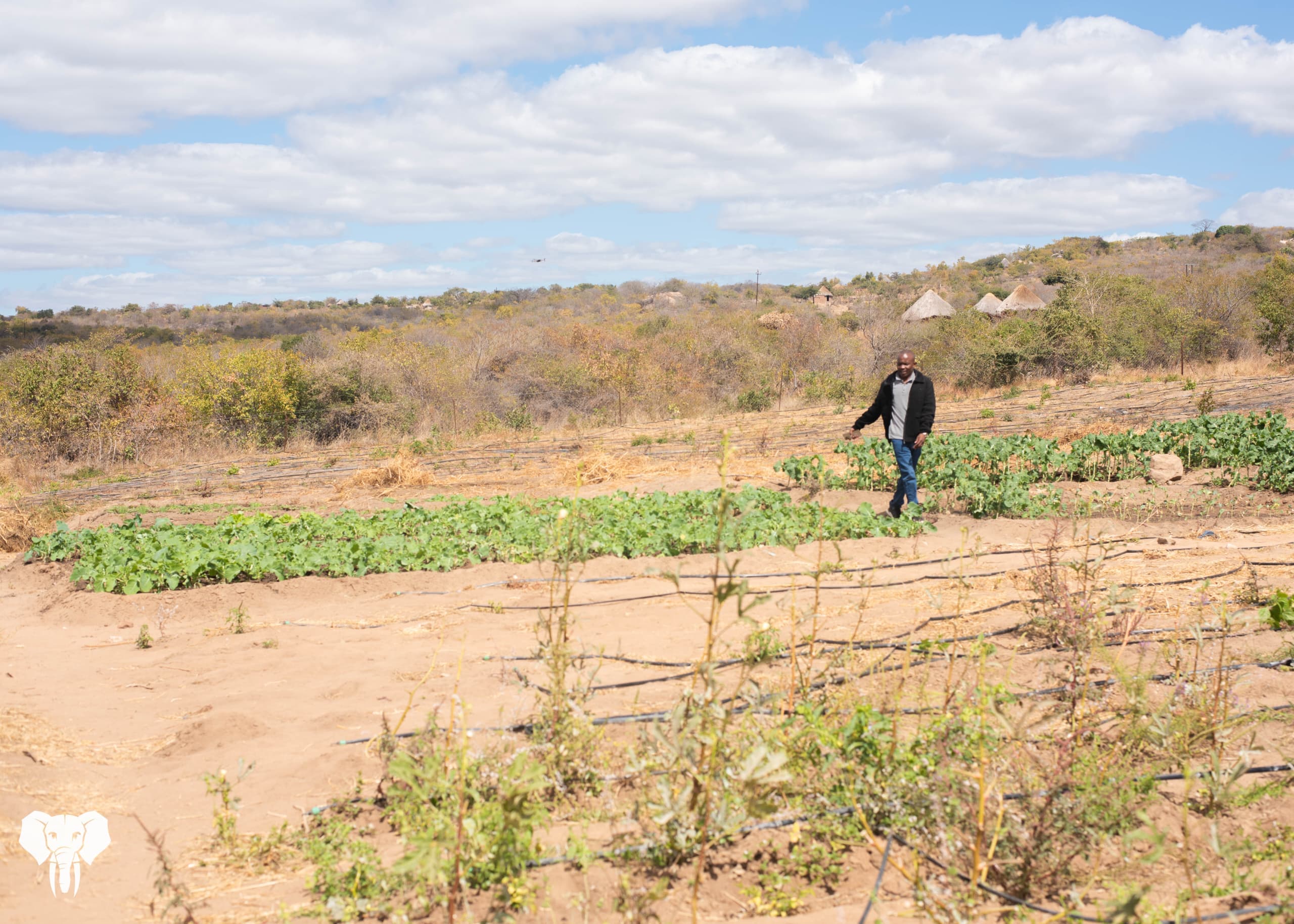 Prevail Boreholes 15