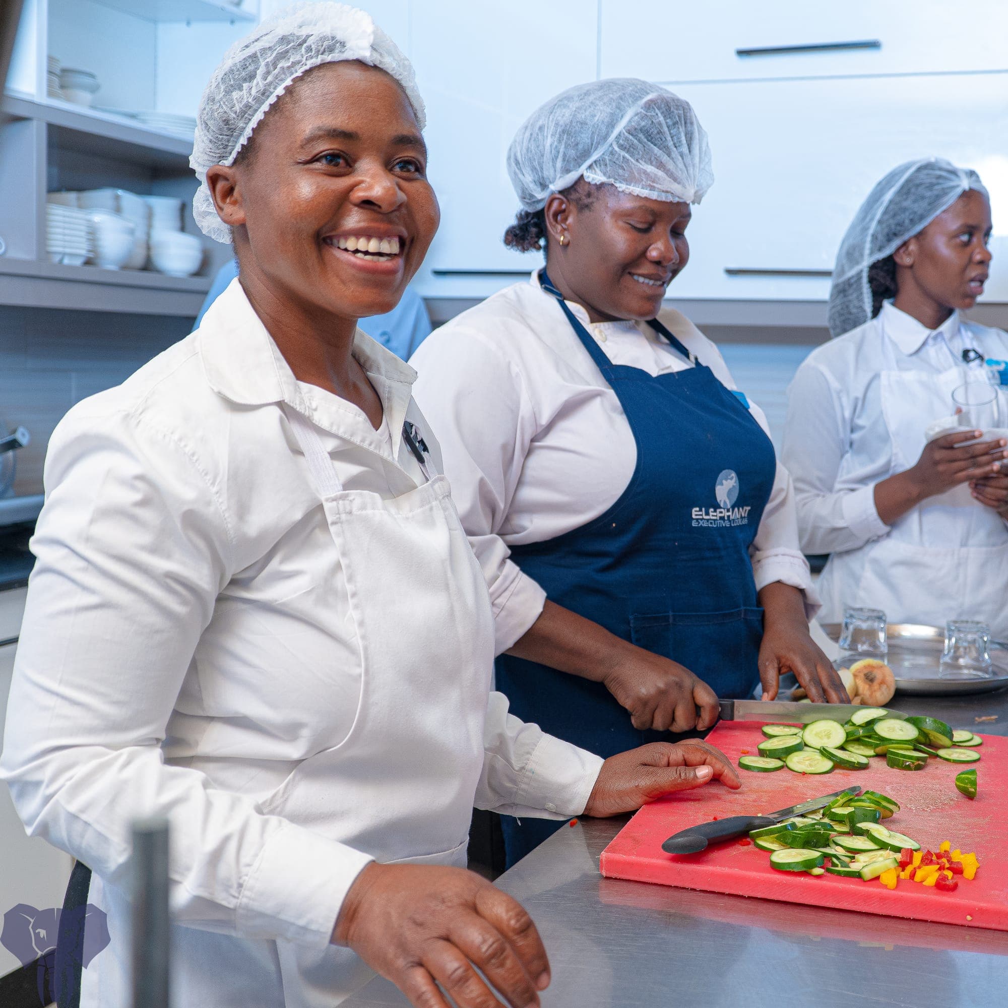 Elephant Executive Lodges 4