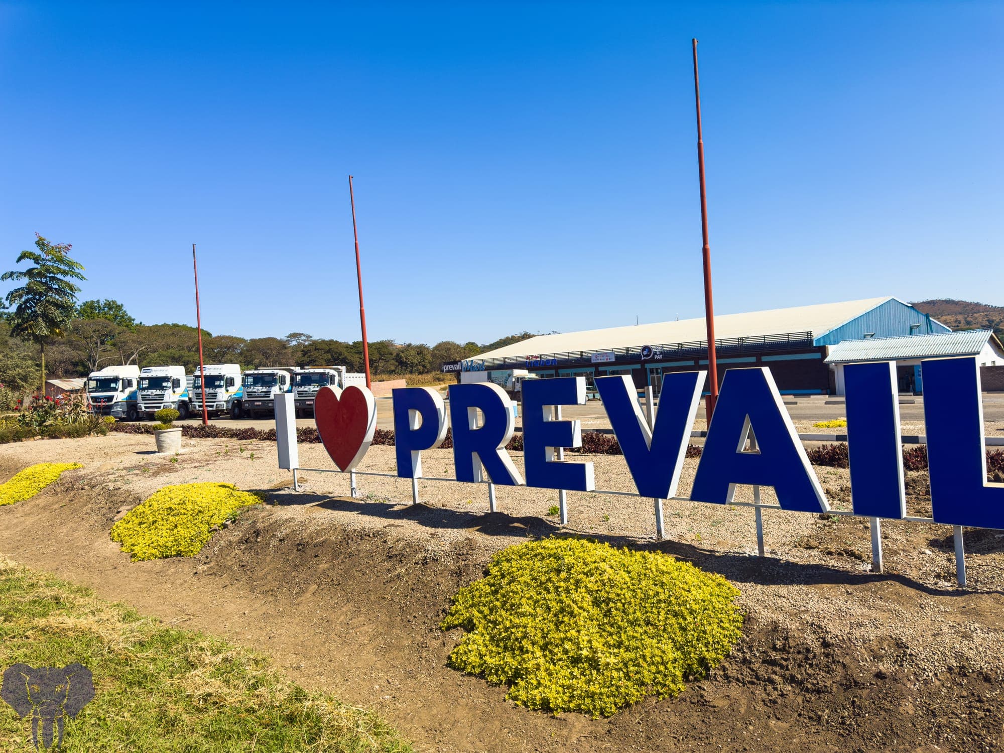 Prevail Mart 7