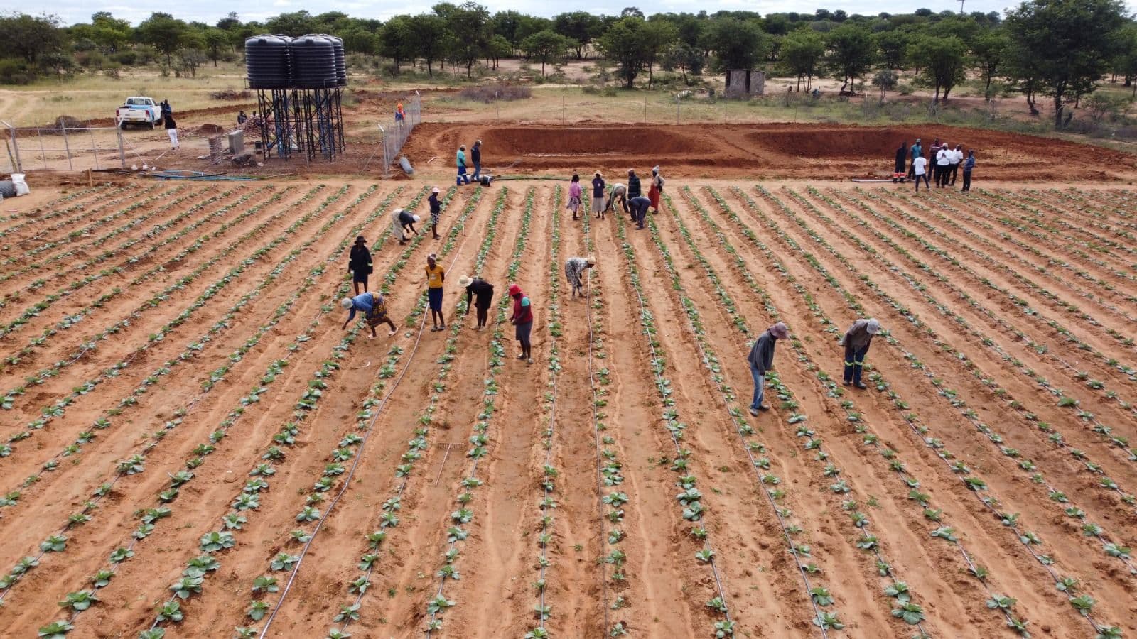 Village Business Units bring hope and jobs to rural communities